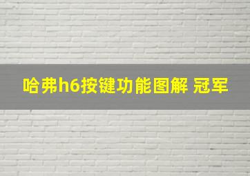 哈弗h6按键功能图解 冠军